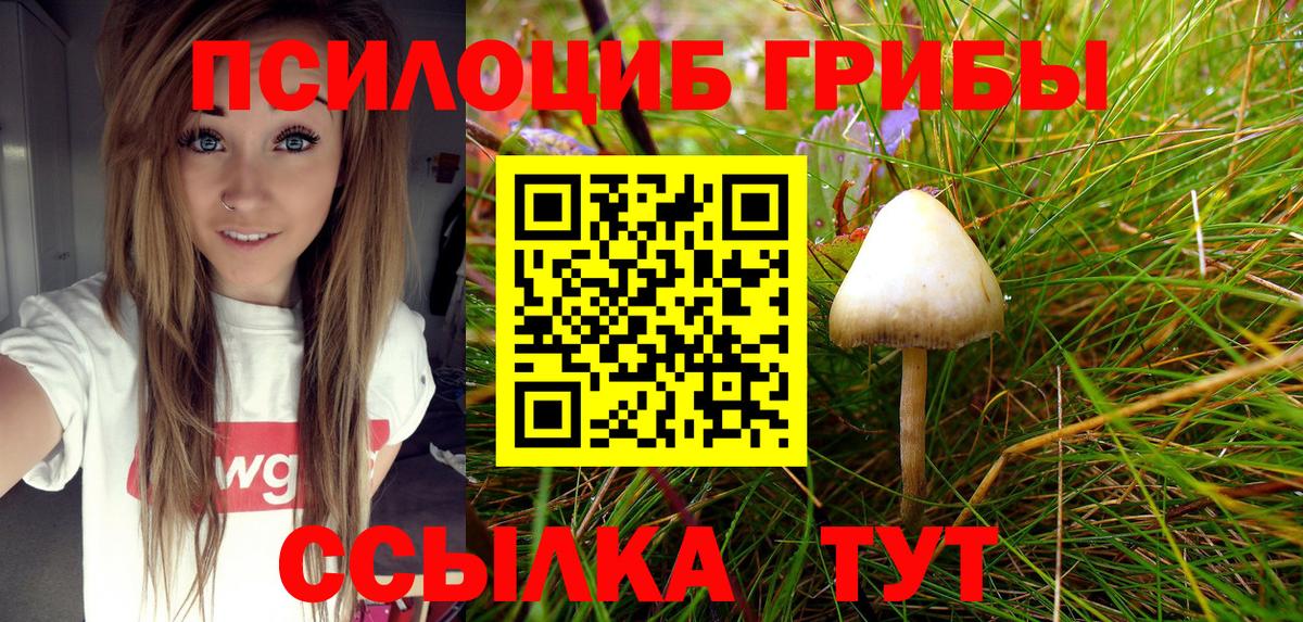 Псилоцибиновые грибы мицелий  Псилоцибиновые грибы MAGIC MUSHROOMS  Нарткала  Вход с VPN 
